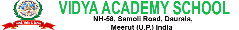 Vidya Academy 